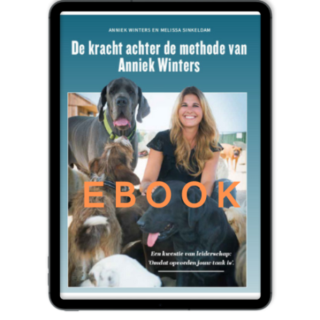 E-Book: De kracht achter de methode van Anniek Winters